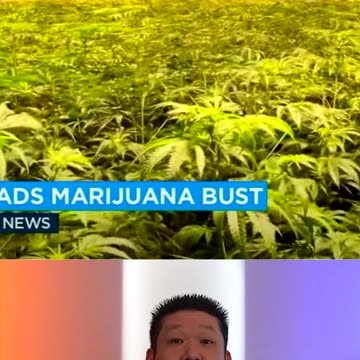 Only The Club Gets To Farm Weed Even Where It's Legal