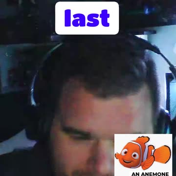 Mafia hit or just a sea anemone!! #podcast #nyc #mafia #nemo