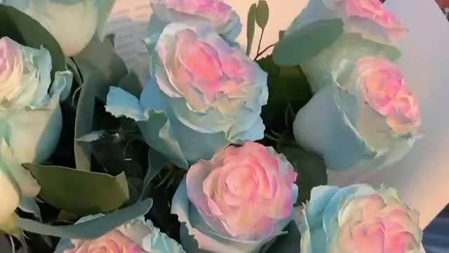 Can you send me a bunch of flowers to start the next meeting?