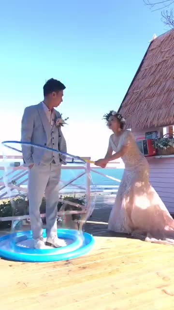 funny, cats, funny animals, funny cats, funny moments, animal video,