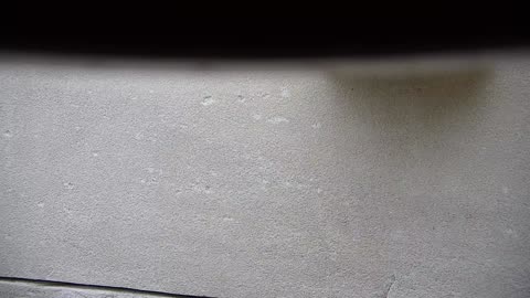 5182CHOB01CH06Exterior_2021-01-06_14h17min17s723ms.mp4