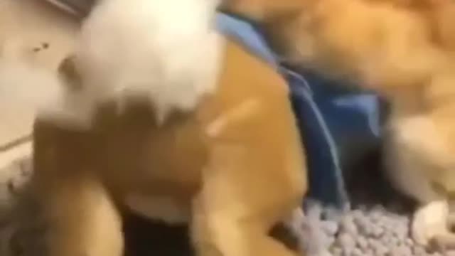 That's my jacket .. damn it!