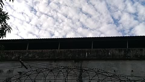 Sky with snow clouds