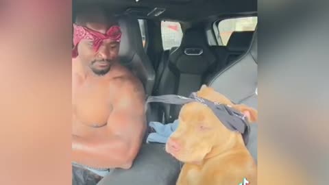 2 Pac Next Generation Unlimited Version