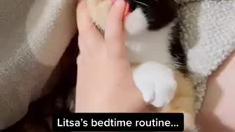Kitty nurses on boys finger