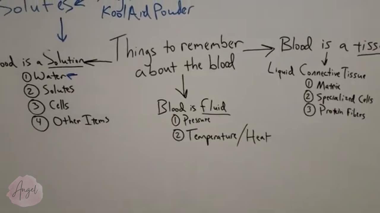 Anatomy and Physiology_ 3 Things To Know About The Blood