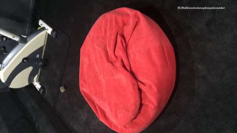 White dog jumps into red bean bag chair gets buried