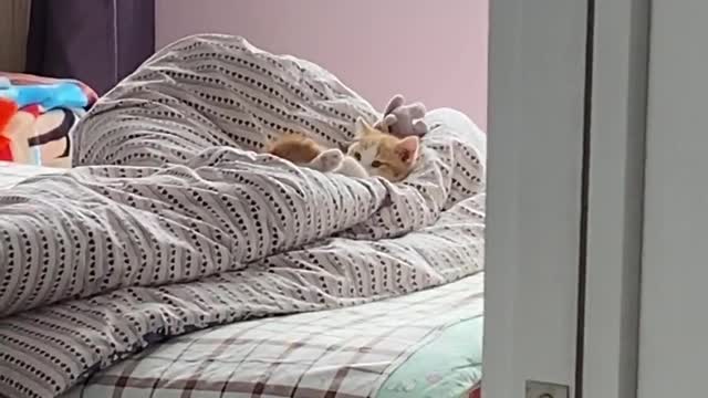 Me and my cat!