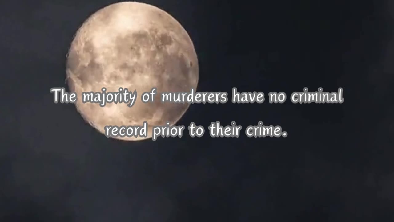 Dark Facts: Tales of Terror and Truth 28 Out of 100