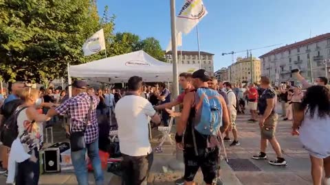la pazienza è finita contro i 5 stelle