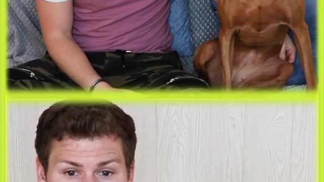 Dog Is NOT Impressed By His Comedian Dad