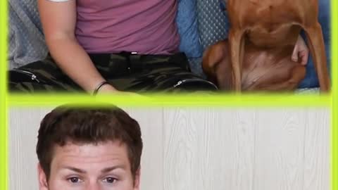 Dog Is NOT Impressed By His Comedian Dad