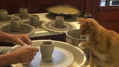 The potter cat (or ceramist)