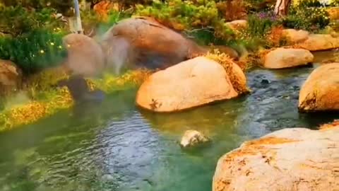 hot spring