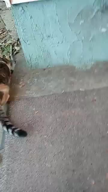 Not Quite That Brave Yet Lol