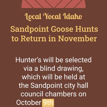 Sandpoint to Hold Beach Goose Hunts in November