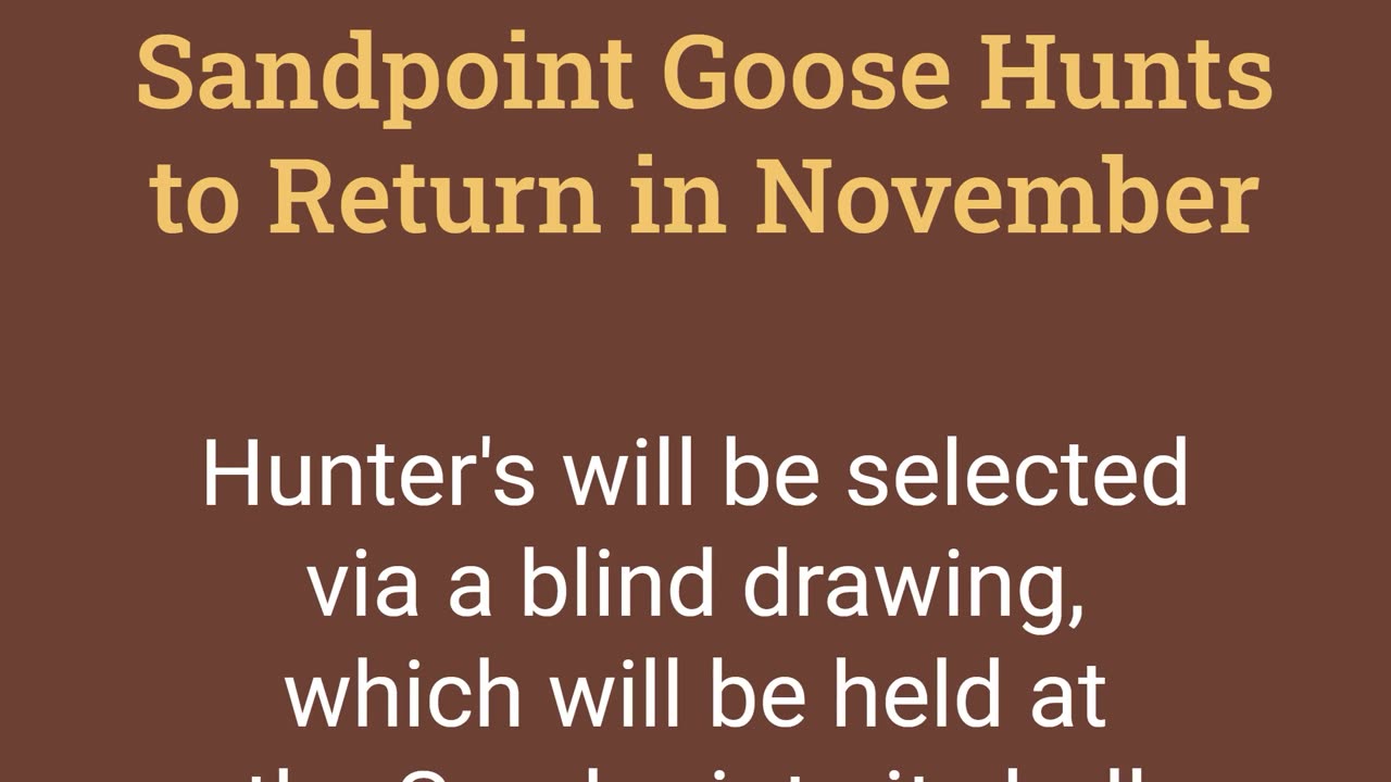 Sandpoint to Hold Beach Goose Hunts in November