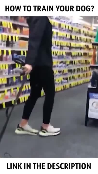 Tiring shopping Funniest Golden Retriever Puppy #shorts.mp4