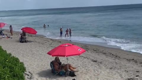 Calm Ocean on this Marsh day