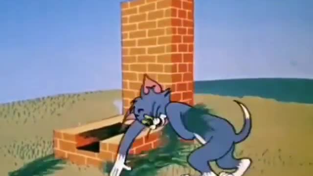 Tomnjerry
