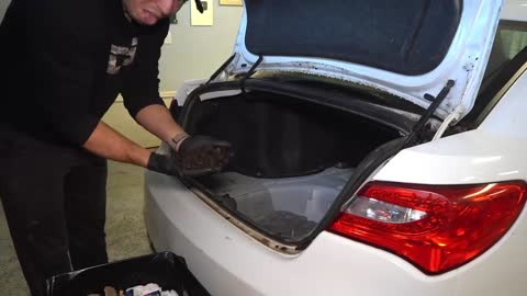 Cleaning the Trunk Dirt