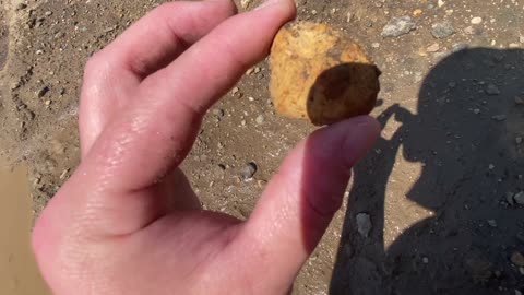 Rock Hounding In Darwin MN