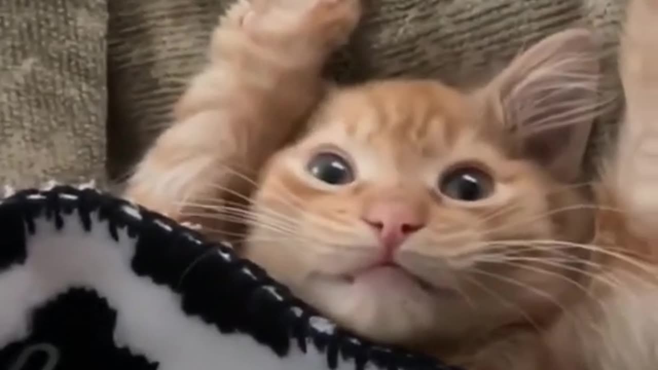 oh no