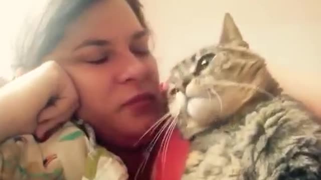 Funny video talking cat says NO to kisses on the head