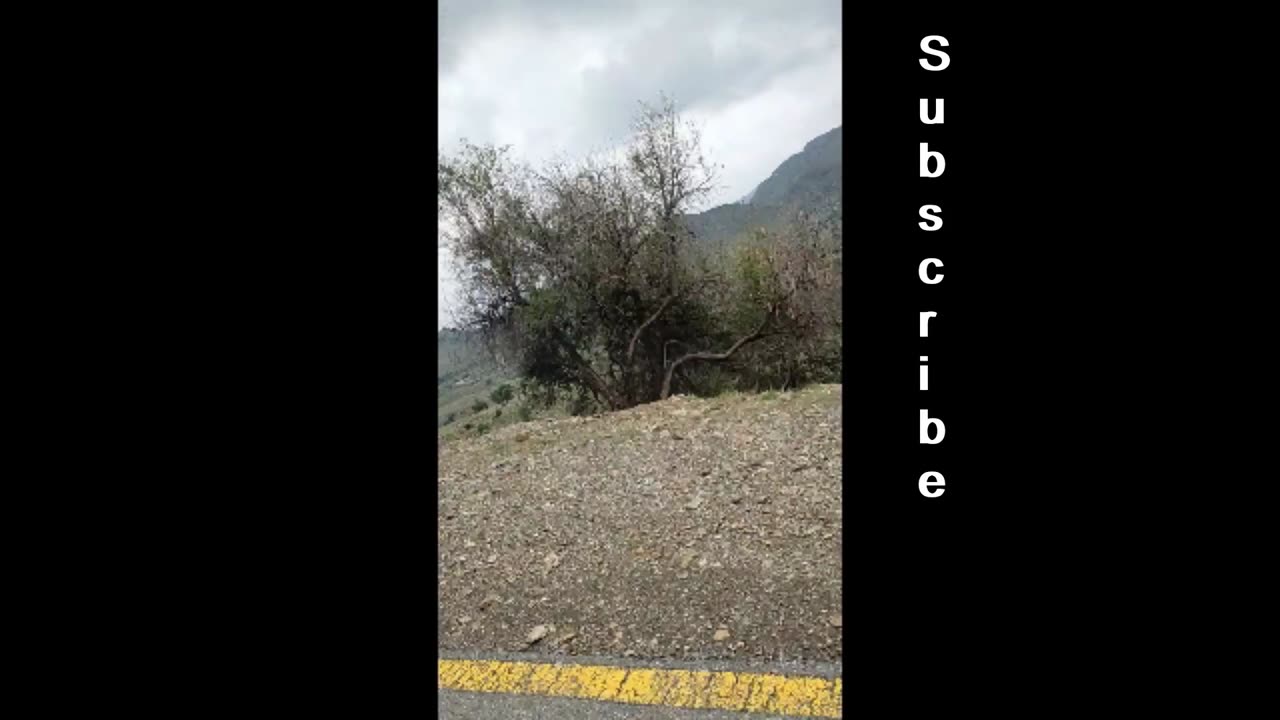 we see the mountains and shocked | MuqeetVines Videos