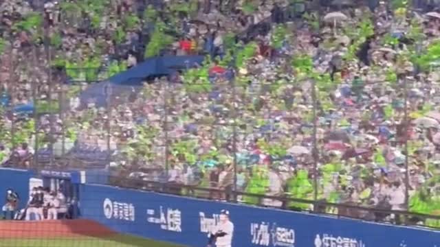 Japanese baseball crowds