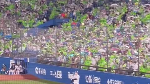 Japanese baseball crowds