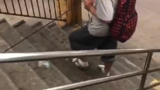 Guy Pulls Kitten On A Leash Down Subway Stairs