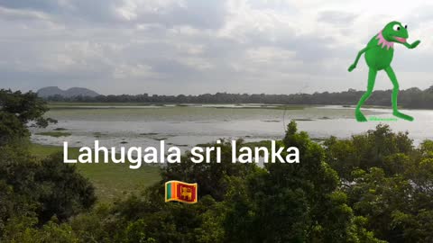 ලාහුගල වැව /lahugala lake/ lahugala sri lanka 🇱🇰