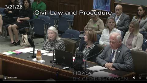 testimony of birth mothers, HB 450