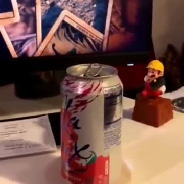 Beautiful bird playing