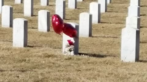 Jefferson Barracks National Cemetery Valentine