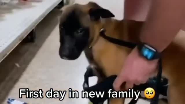 First day in new family