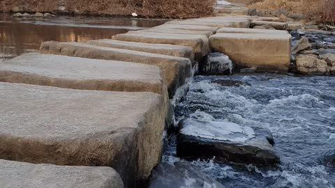 Water flowing through the stones and a bird in the distance