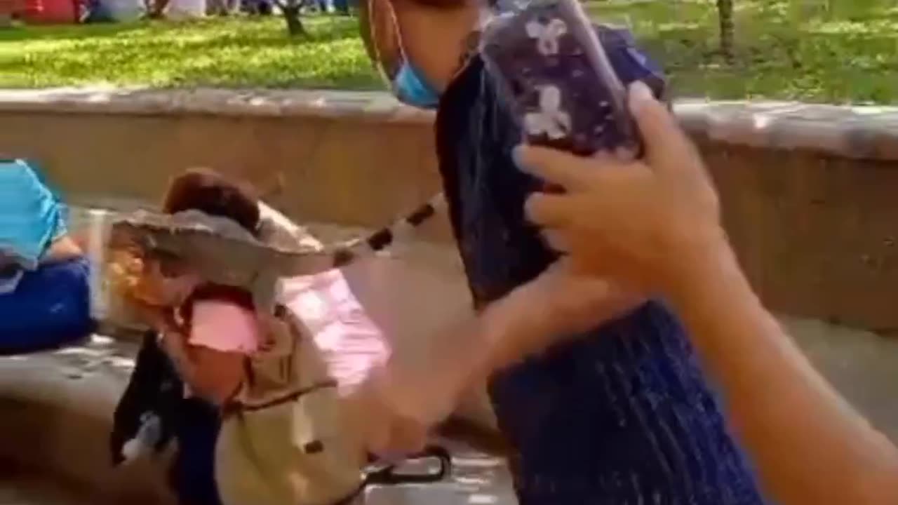 Funny animals videos 😂