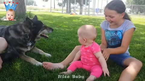 Lindos bebes jugando con animalitos