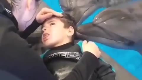 Dolphin kisses the child