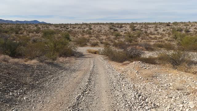 Lake Alamo Dual sport