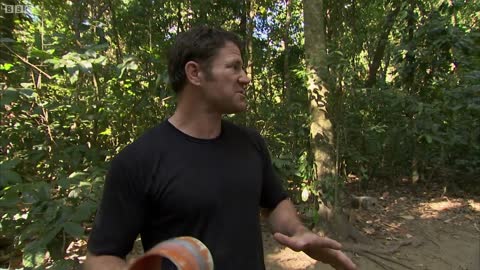 Water Monitor Climbs a Tree | Deadly 60 | Series 2 | BBC Earth