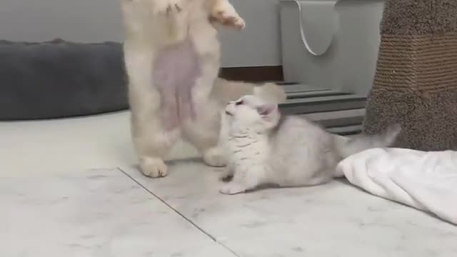 Baby wants to play😍😍😍