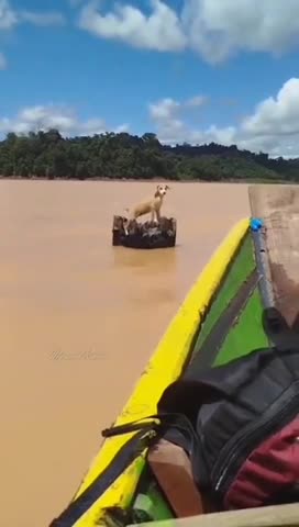 It's a miracle anything survived....