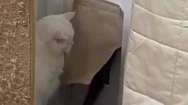 When you arrive late and try to sneak in... but your wife is waiting for you: