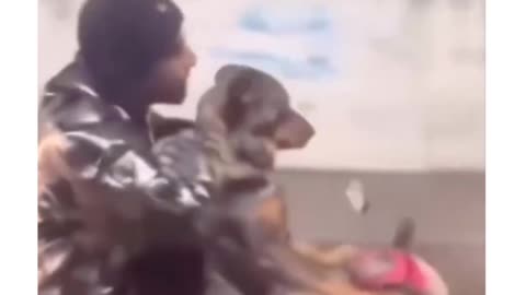 Boys can trust a dog but not gril😎