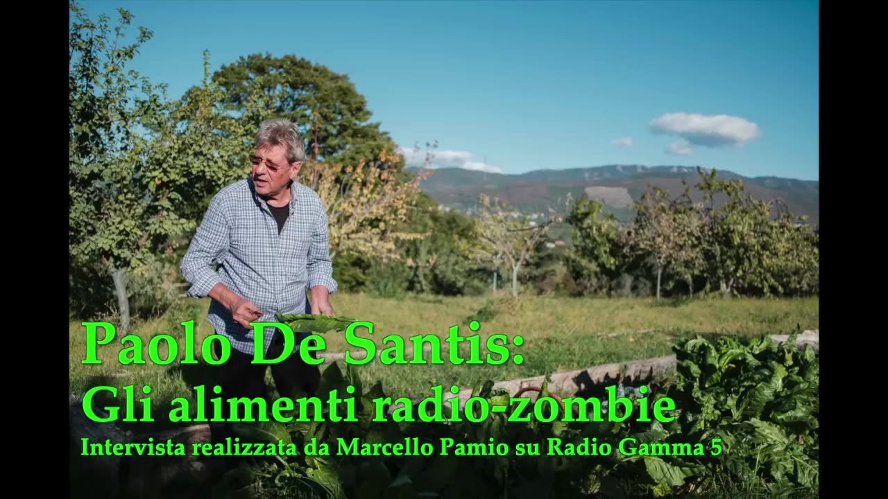 Paolo De Santis: Gli alimenti radio zombie