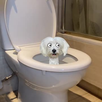 Skibidi Toilet con mi Perro 🐶🚽🤣