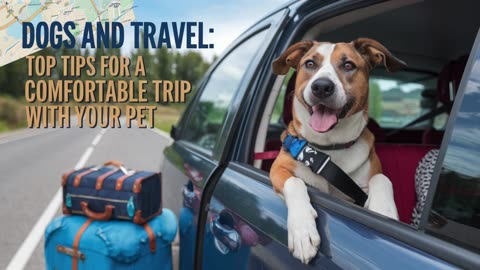 Traveling Podcast Title: Wagging Tails & Wanderlust: with Your Dog